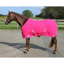 rugs and fleeces for horses