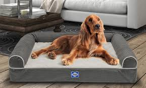 sealy orthopedic foam couch style dog