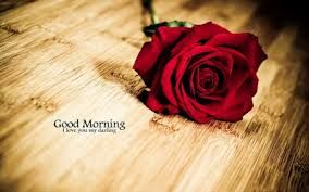 The world is beautiful outside when there is stability inside. Most Beautiful Good Morning Whatsapp Images All Movie Song Lyrics