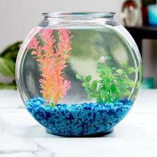 Fish Bowl Glass Drum 2-Gallon Aquarium Pet Fish Pot Living Room Home Decor  NEW | eBay gambar png
