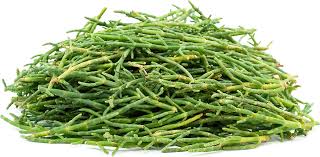 sea beans information and facts