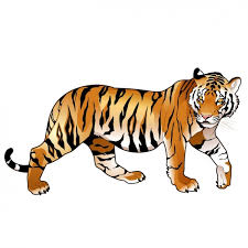 free vector coloured tiger design