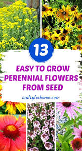 Ten flowers that will bloom all summer long. 13 Easy To Grow Perennial Flower From Seed Crafty For Home Easiest Flowers To Grow Planting Flowers From Seeds Flowers Perennials