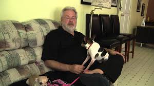 For 65 years, we've been helping animals find homes. Natalie S Second Chance No Kill Dog Shelter Youtube