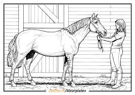 Zoek je een paarden kleurplaat? Kleurplaat Paard Download Gratis Paarden Kleurplaten Eendier Nl