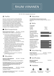Resume Examples By Real People Banking Business Analyst