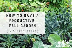 How To Have A Ive Fall Garden