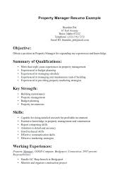 Ability Summary Resume Examples Examples Of Skills In Resume Resumes