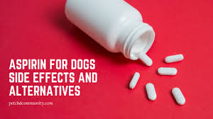 Aspirin For Dogs Side Effects Aspirin Alternatives Pet