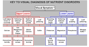 The Charts Helpful Charts For Making Nutrient Deficiency