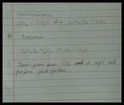 I Write The Balanced Chemical Equation