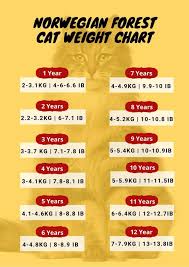 Visit our exclusive maine coon weight chart. Know The Ideal Weight Of Norwegian Forest Cat Norwegian Forest Cat Weight Chart Cat Weight Chart Weight Charts Ideal Weight