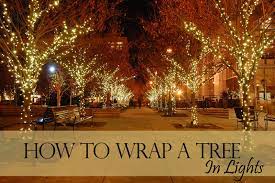 How To Wrap A Tree In Lights