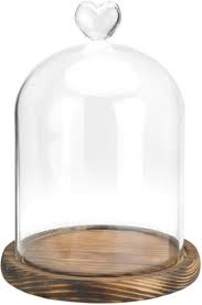 Clear Glass Cloche Bell Jar Display