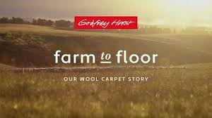 wool carpet frey hirst residential