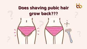 does shaving hair grow back b