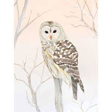 Winter Owl Canvas Wall Art Ivystone