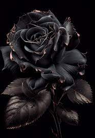 dark roses background generate ai