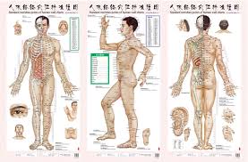 Usd 19 46 Human Meridian Acupuncture Standard Wall Chart