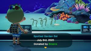When players see shadows in the water, it may indicate there are sea creatures to be caught at the bottom of the ocean. How To Swim Dive And Catch Sea Creatures In The New Animal Crossing New Horizons Update Articles Pocket Gamer