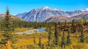 To see some of the most remote wilderness in denali national park, you'll need to travel deep into the park, beyond the eielson visitor center and into the kantishna gold mining district. Denali National Park Alaska Holidays Steppes Travel