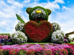 dubai miracle garden has opened for its