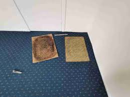 ecosan solutions carpet repair and