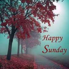 Happy Sunday Hd Pictures For Facebook | Happy sunday pictures, Happy sunday  morning, Happy sunday hd images