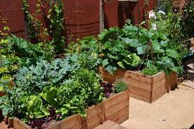 vegetable garden ideas landscaping