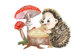 Hedgehog family watercolor clipart, cute little hedgehog clip art By  Evgeniia Grebneva Painting | TheHungryJPEG.com