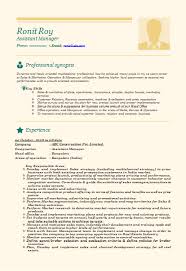 Sample Resume Format For Experienced It Professionals Doc