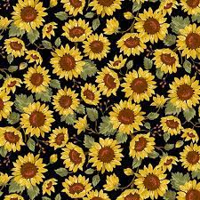 Sunflower Field Sunflower Fields Black