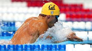 Image result for josh prenot