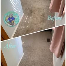 the best 10 carpet cleaning in denver