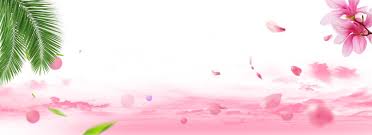 beauty background pink pink dream