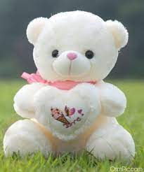 whatsapp dp teddy bear 44 status