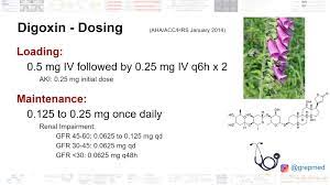 digoxin dosing pharmacology loading