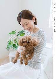 a anese woman holding a toy poodle