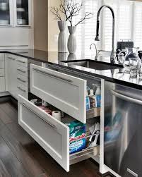 kitchen cabinet pull out ideas