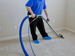 carpet cleaning bay area pro cleaning