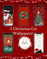 5 Iphone Black Cat Wallpapers
