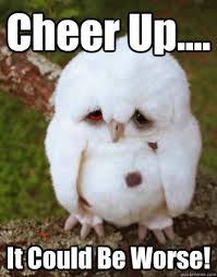 Cheer Up.... It Could Be Worse! - Depressed Baby Owl - quickmeme via Relatably.com