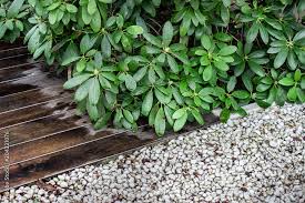Outdoor Plants With Wooden Floor And