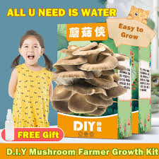 d i y mushroom farmer growth kit