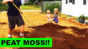 gr seed with peat moss