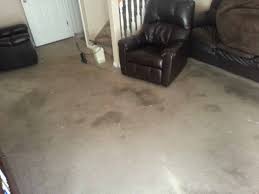 carpet upholstery payneless floor care