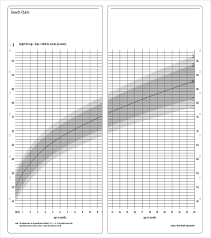 baby growth chart templates 12 free