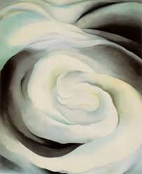 Newly custom framed in a black wood frame double matted in white/black the framed size is approx. Looking At Flowers Through The Eyes Of Georgia O Keeffe Georgia Okeefe Georgia O Keeffe White Roses