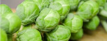 brussels sprouts 25 fun and surprising