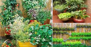 Container Vegetable Garden Design Ideas